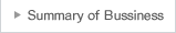  Summary of Business