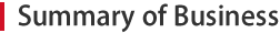 Summary of Business